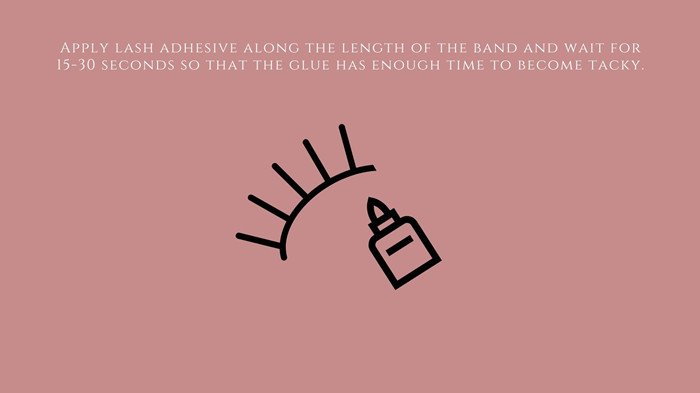 5-Apply lash adhesive along the length of the band and wait for 15-30 seconds so that the glue has enough time to become tacky.